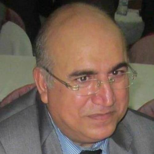 أ.د سلطان المعاني