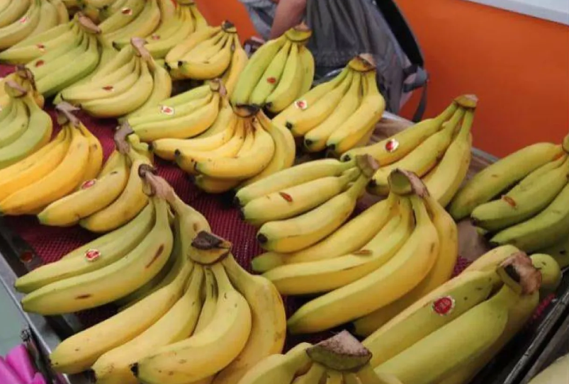 الموز يومياً… كم ثمرة تكفي دون أضرار؟