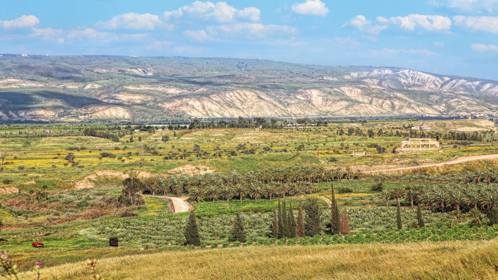 الإدارة المحلية: نظام استعمالات الأراضي يحمي المناطق الزراعية