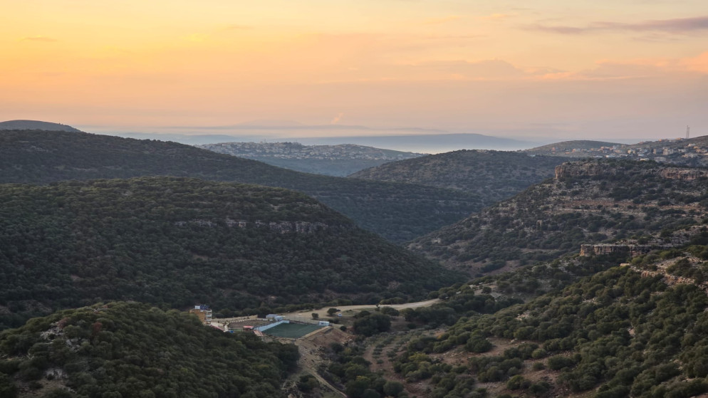 الامطار في الأردن ..  عودة أنواع نباتات مفقودة وخريطة جديدة للمشهد البيئي 