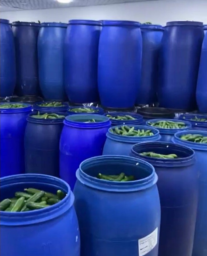 الغذاء والدواء تغلق مشغل مخللات غير مرخّص وتحجز 70 طنا (صور)