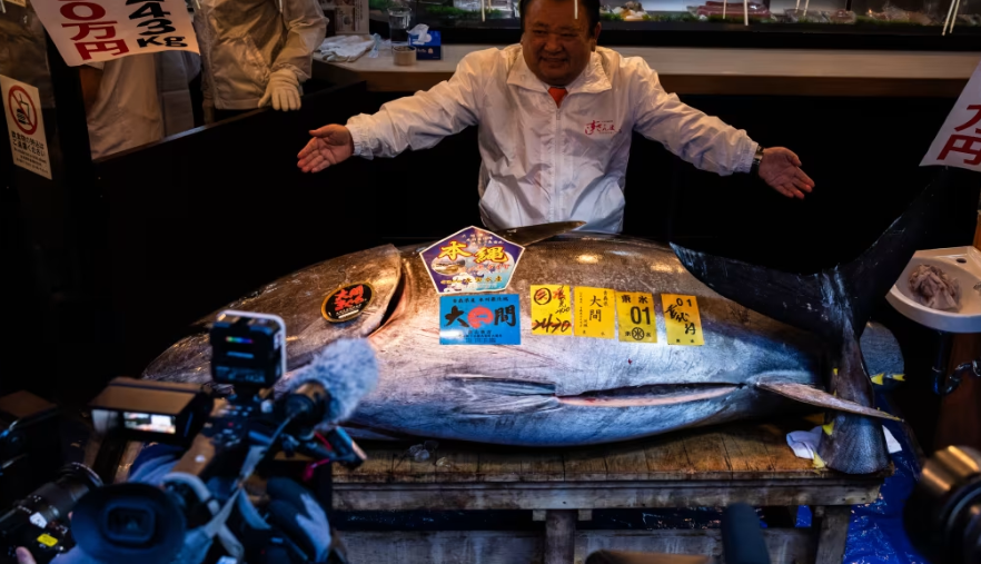 سمكة تونة تباع بـ3.2 مليون دولار في طوكيو
