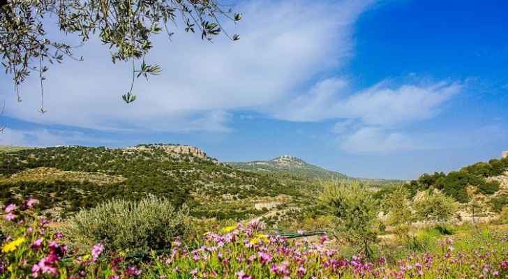 الأربعاء  ..  أجواء ربيعية دافئة في أغلب المناطق