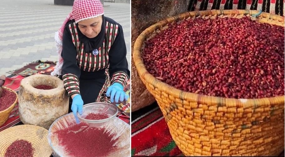 السماق البلدي في عجلون ..  موروث غذائي يعزز التنمية