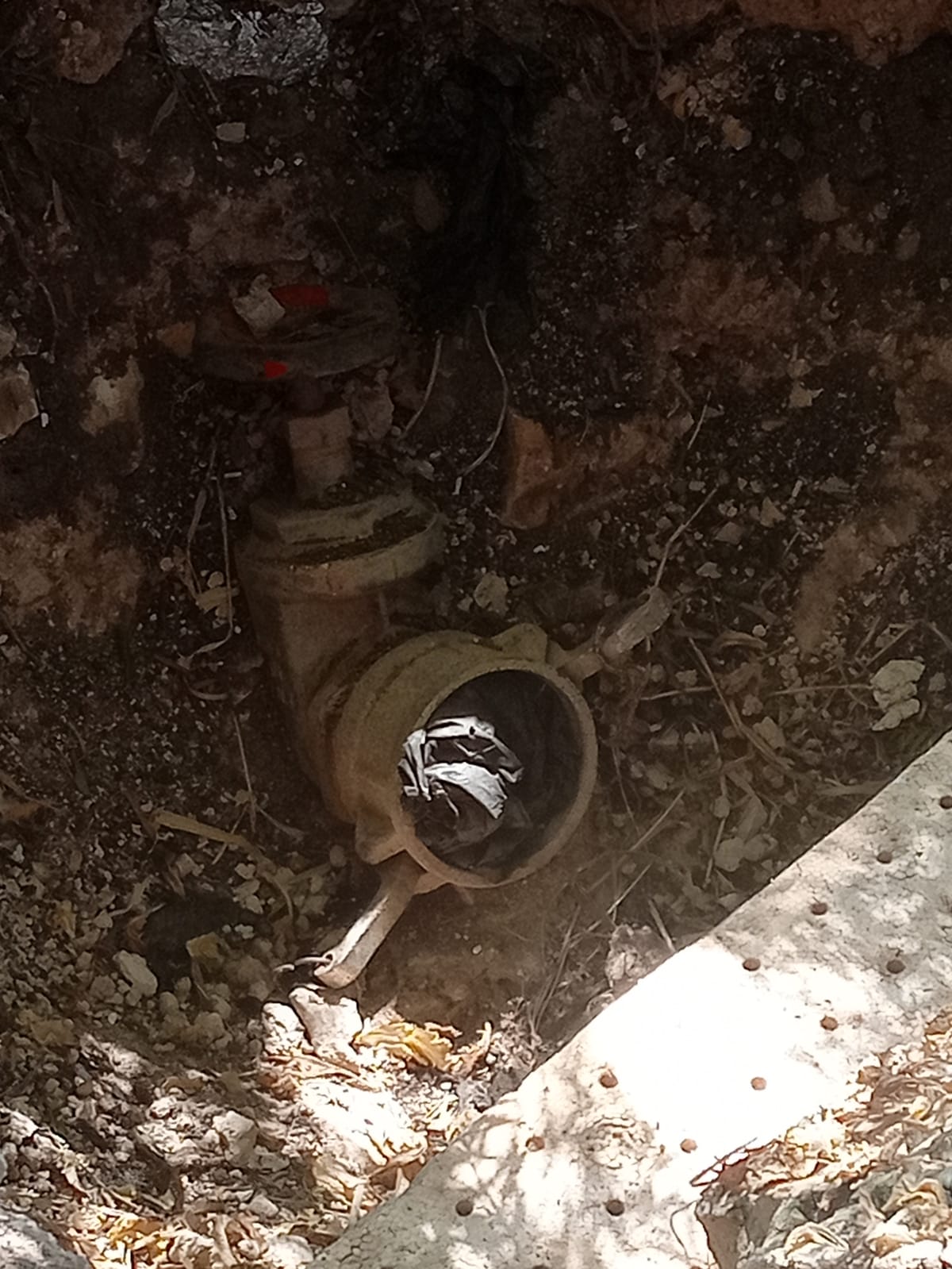 image.php?token=beb90837a96d4f88e87b9f3d15d32818&size=xlarge