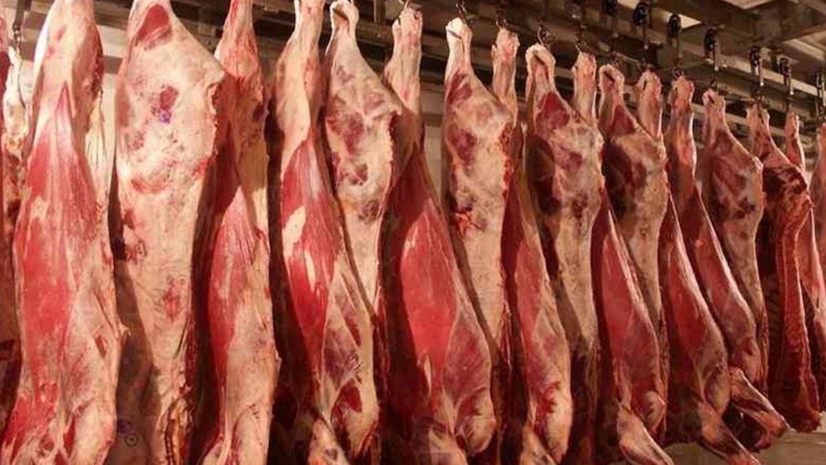 قصابون يؤكدون انخفاض الطلب على اللحوم 60%