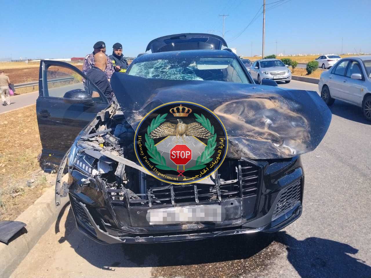 دهس حصان في إربد ..  وإصابة السائق