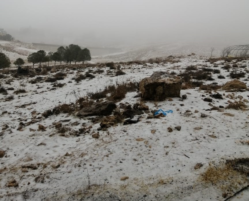 image.php?token=c7a9f2b566bfeffa139e86e738caa412&size=xlarge