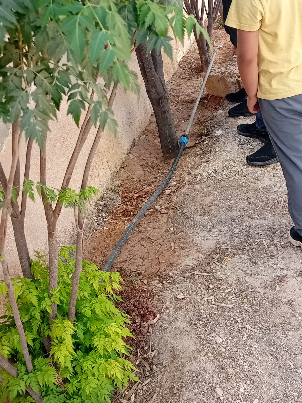 image.php?token=c8a692ccd609bf8c41ad4739b29a2df1&size=xlarge