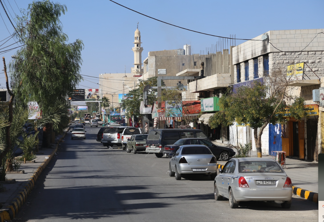 اجتماع طارئ في معان لمكافحة الحشرات في الصيف