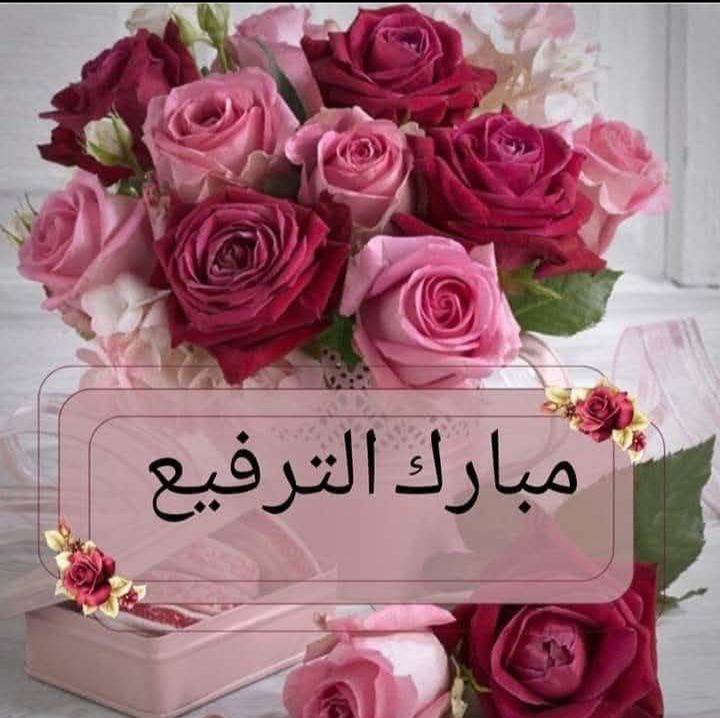 تأملات محمد اللصاصمة ..  مبارك الترفيع