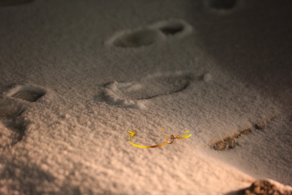 ما احتمالية تراكم الثلوج الثلاثاء؟ 