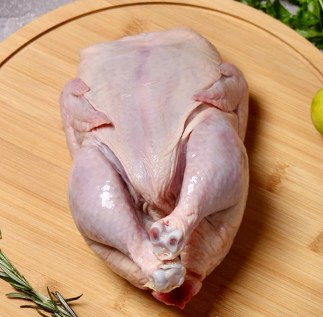 الصناعة والتجارة: استقرار أسعار الدواجن وارتفاع الكوسا والخيار 