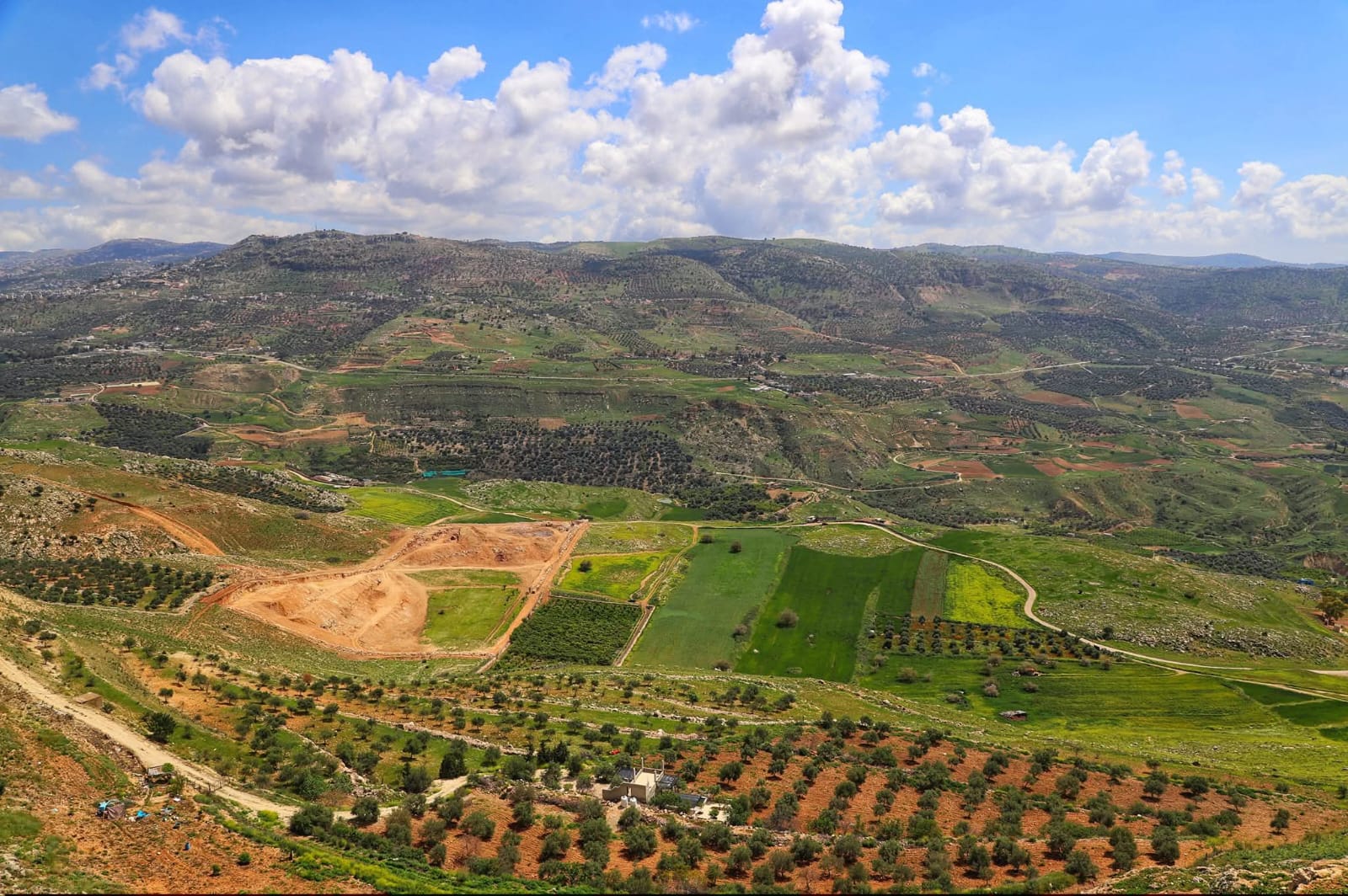 الربيع في عجلون ..  لوحة طبيعية نابضة بالحياة تستقطب الزوار