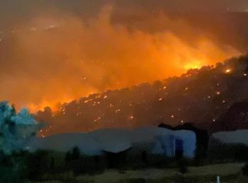 اتحاد الجمعيات البيئية يطالب بفتح تحقيق لمعرفة اسباب حريق غابات اليرموك