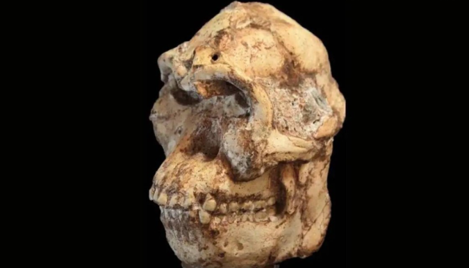 وجه من ملايين السنين 