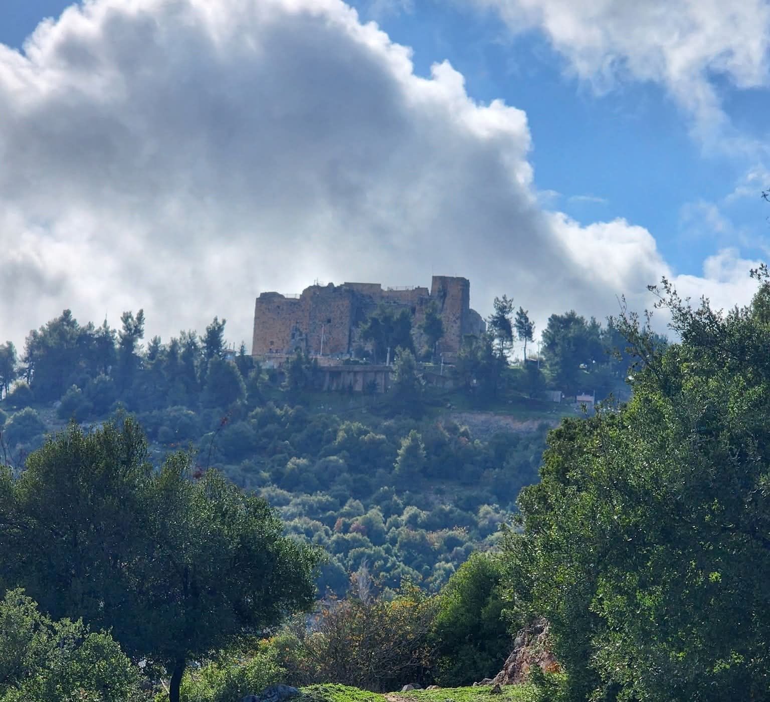 عجلونيات: يوم الأم عطاء متجدد ودور ريادي في بناء المجتمع