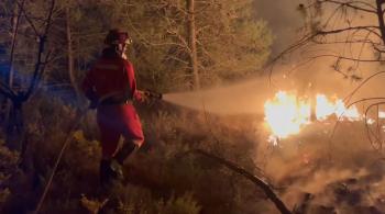 حريق غابات يدمر قرابة 10 آلاف فدان في إسبانيا