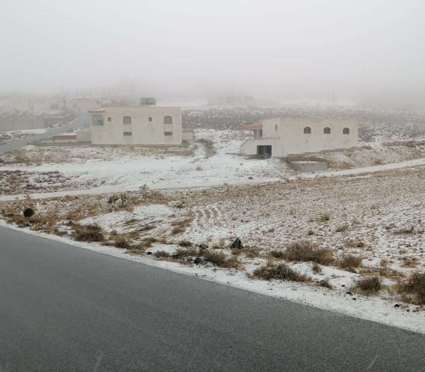 image.php?token=d90508c4bbec1a12f2ea593df1bad2a9&size=xlarge