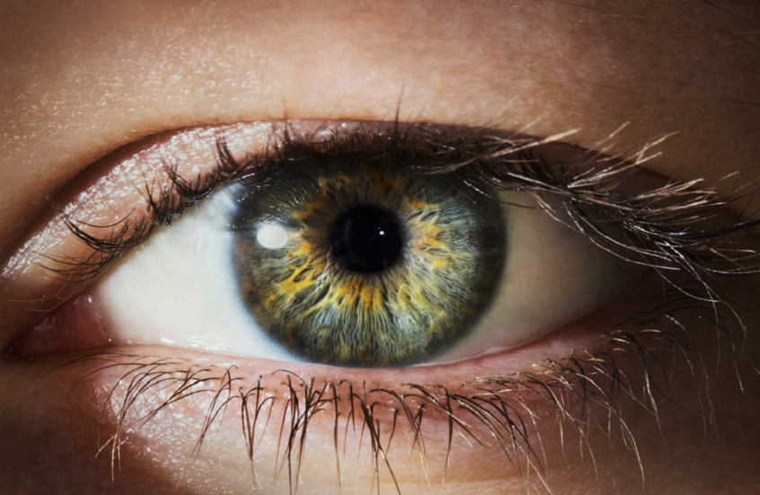 تجديد الخلايا لعلاج أمراض العين