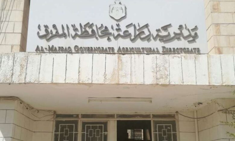 زراعة المفرق: المدارس الحقلية تعزز الأمن الغذائي واستغلال الموارد