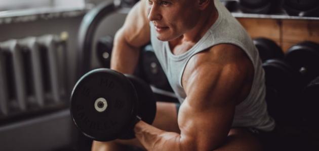 Tips for Enlarging Your Biceps: Exercises, Nutrition, and Rest
