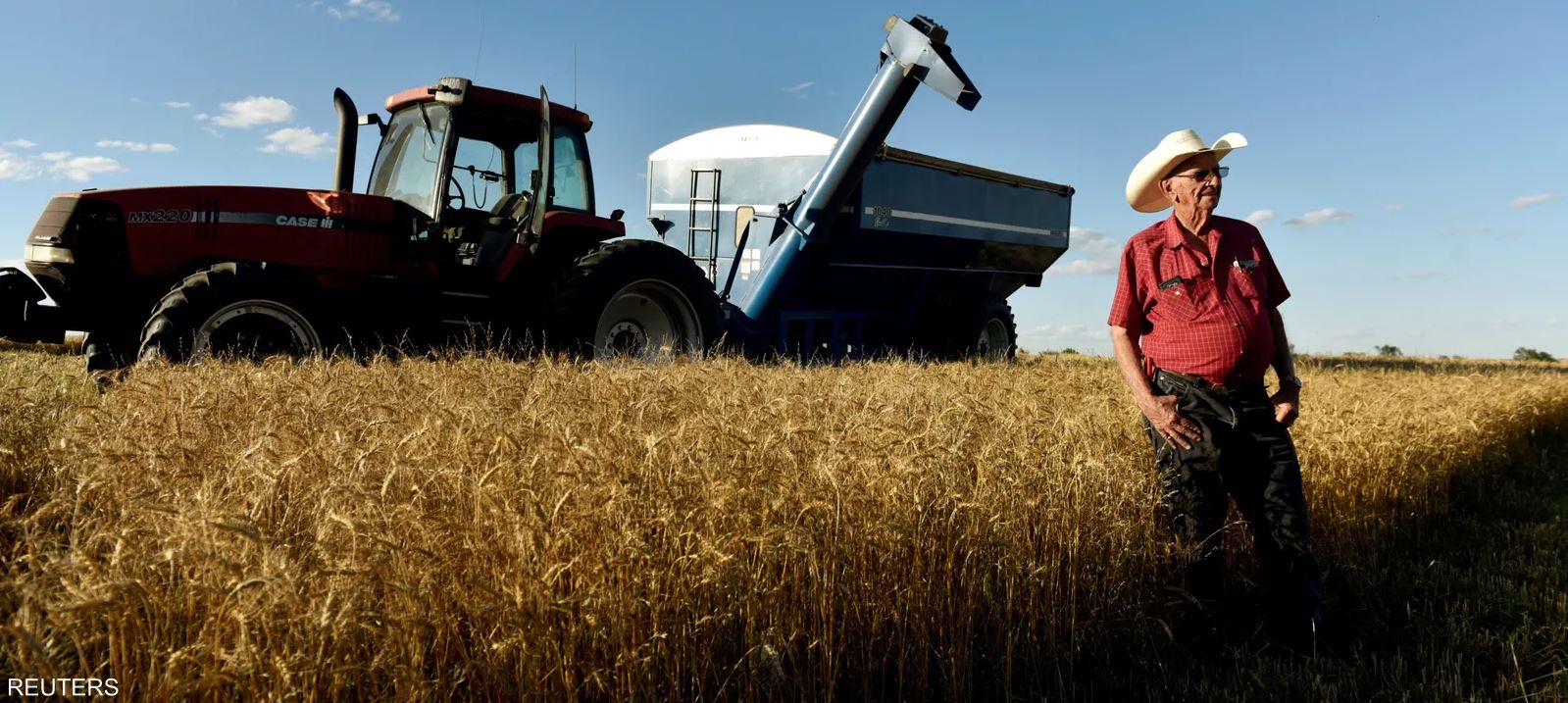 القمح ينخفض 3% والذرة تتراجع مع إعلان وقف إطلاق النار