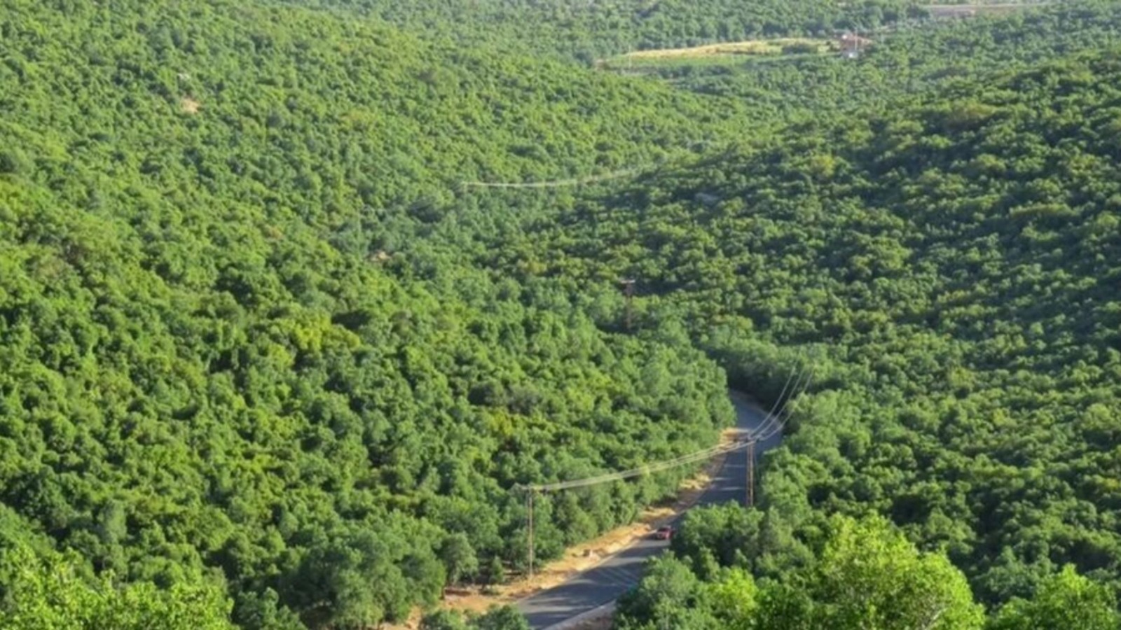 محمية غابات عجلون تستقبل 35 ألف زائر 
