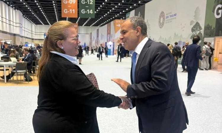 طوقان ووزير الخارجية المصري يبحثان تعزيز سبل التعاون
