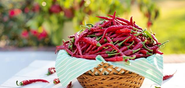 أفضل الخضروات لحرق الدهون