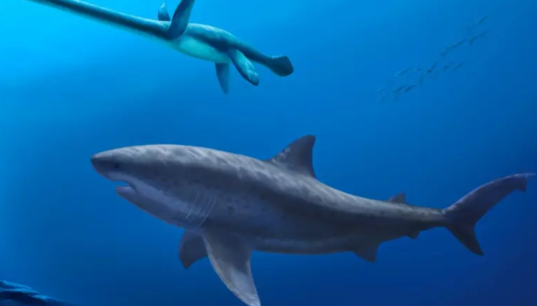 أقدم مفترس بحري ..  قرش عملاق سيطر على بحار أستراليا