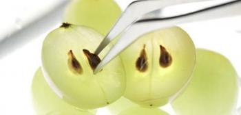 فوائد بذور العنب للبشرة