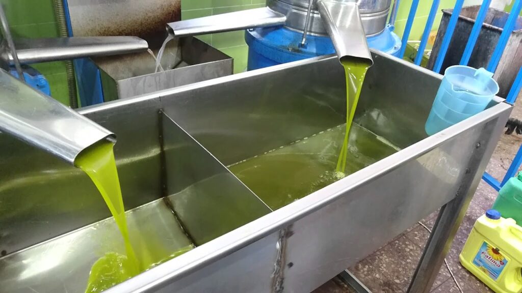 وصول الدفعة الاولى من زيت الزيتون التونسي وتحديد الأسعار