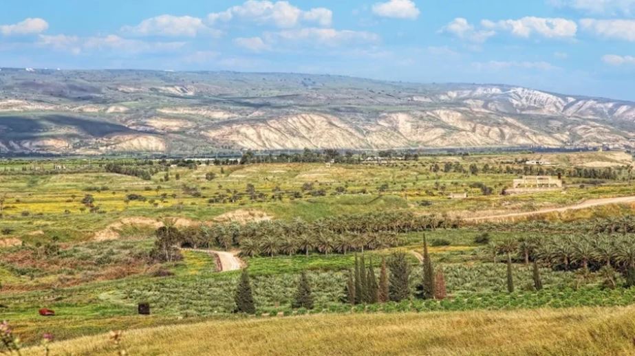 متخصصون: محافظات الأردن الزراعية خط الدفاع الأول للأمن الغذائي
