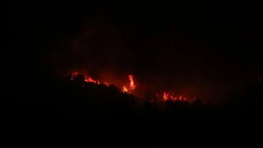 الجزائر ..  مصرع 6 أشخاص جراء حرائق الغابات خلال الأيام الأخيرة