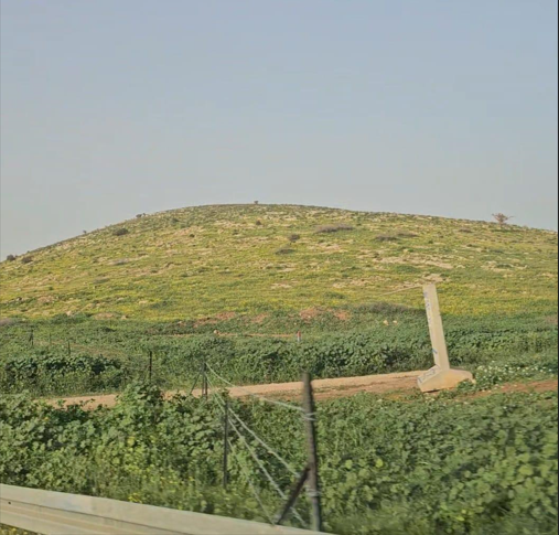 مستوطنون يسيجون 1500 دونمًا بعد مصادرتها في الأغوار الفلسطينية 