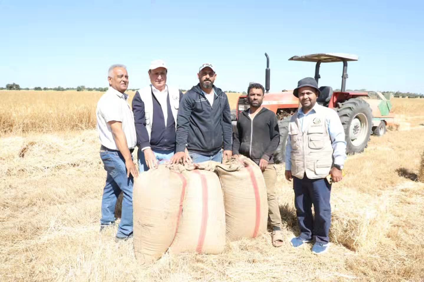 الرواشدة يرعى حصاد القمح لمشروع اكثار البذور الوطني