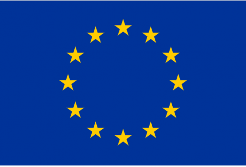 بعثة الاتحاد الاوروبي في الاردن تدعو لتقديم مقترحات مشاريع 