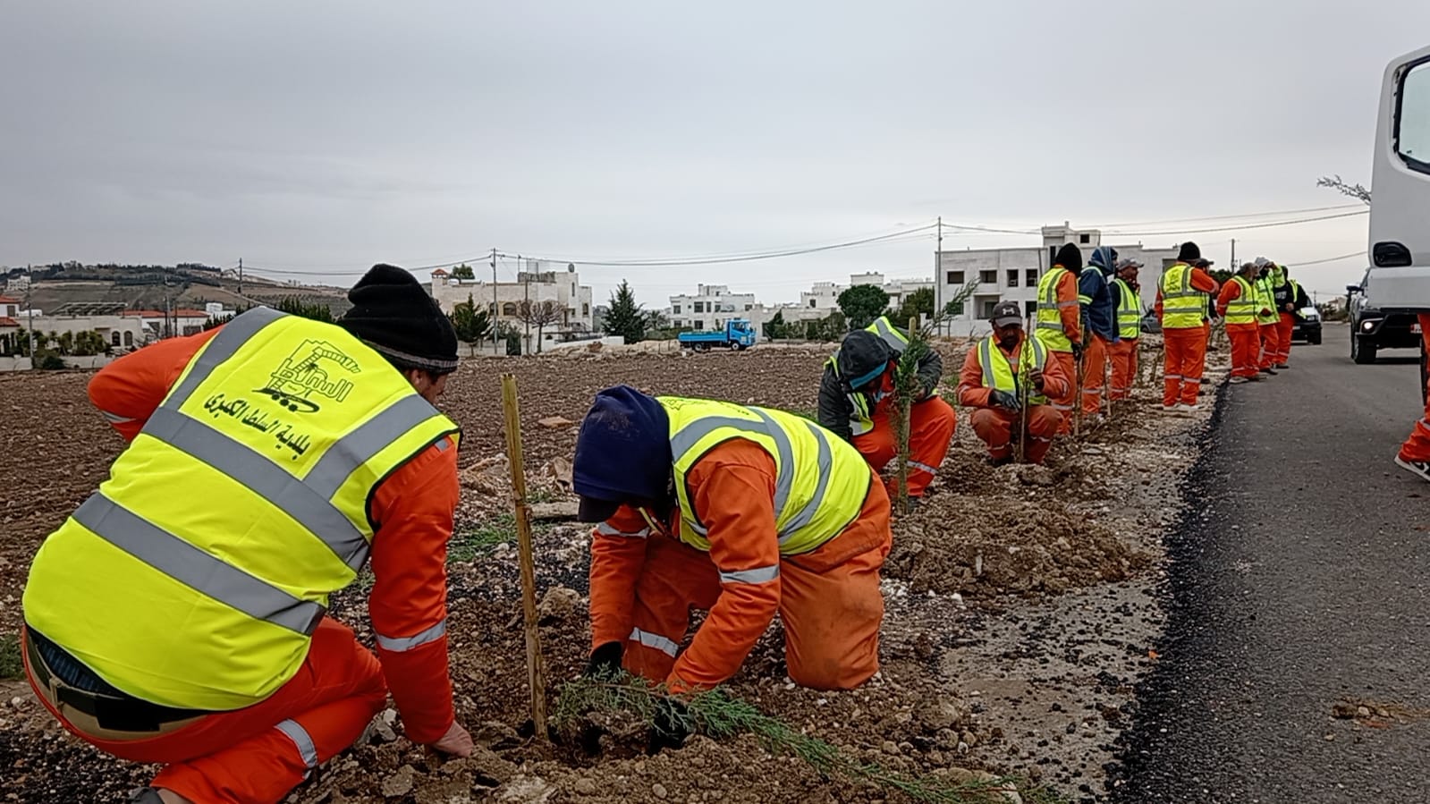 بلدية السلط الكبرى تشارك في الحملة الوطنية للتشجير بزراعة آلاف الأشجار 