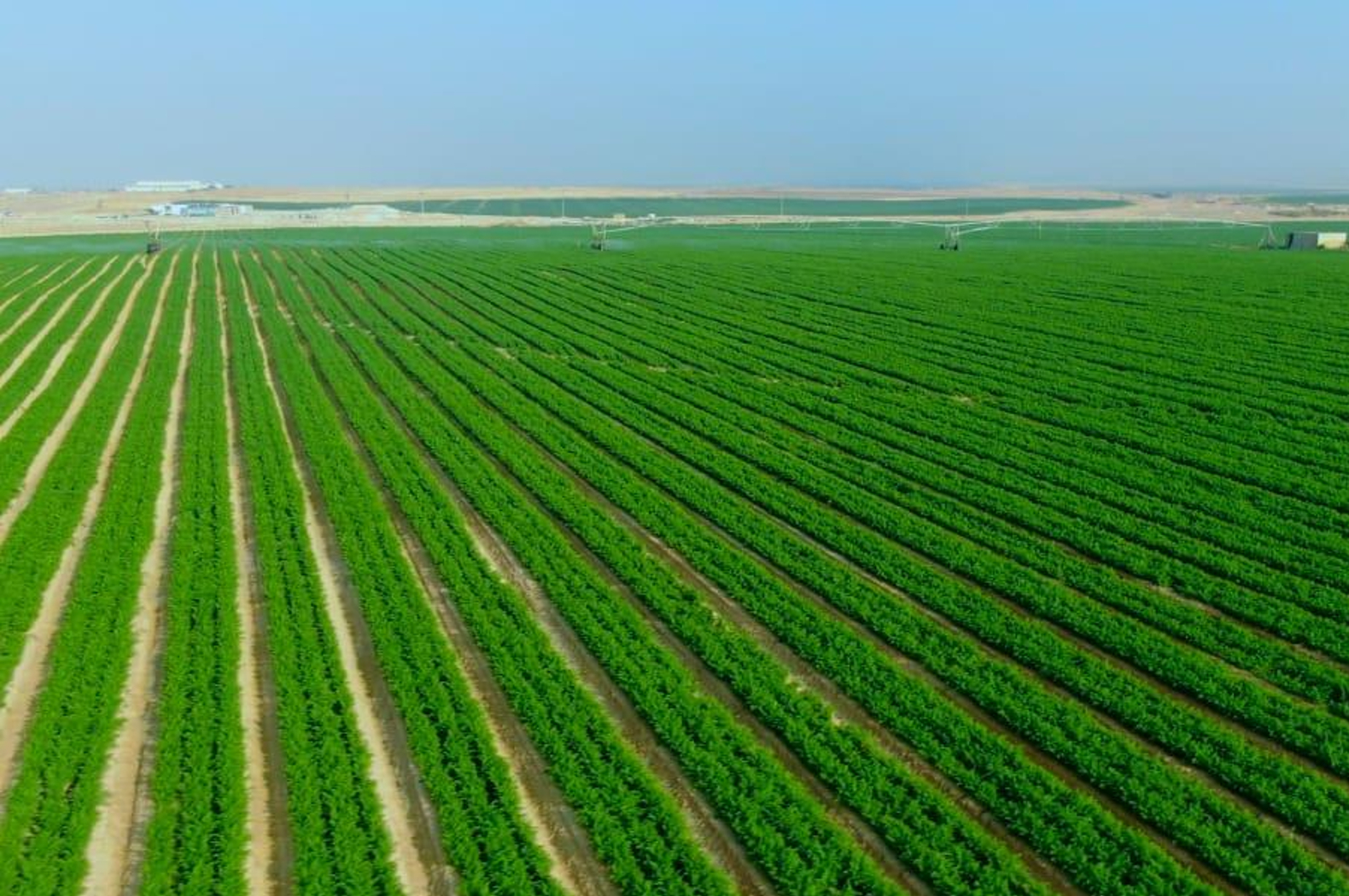 الاقتصادي والاجتماعي يوصي بإنشاء غرفة زراعة الأردن واستصلاح أراضي الخزينة