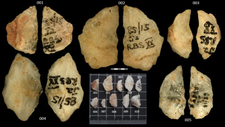 عمرها 60 ألف عام ..  اكتشاف أقدم سهام لصيد الحيوانات