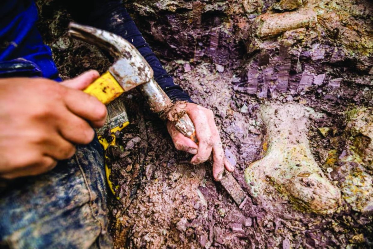 اكتشاف ديناصور عملاق