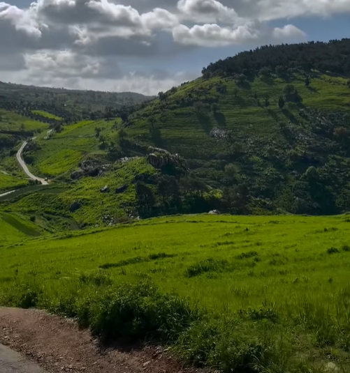 ربيع إربد يستقطب آلاف المتنزهين في الجمعة الأخيرة قبل رمضان 