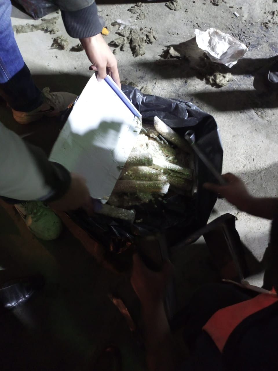 image.php?token=f7bd44bc64899a8530c4a88dd059e905&size=xlarge