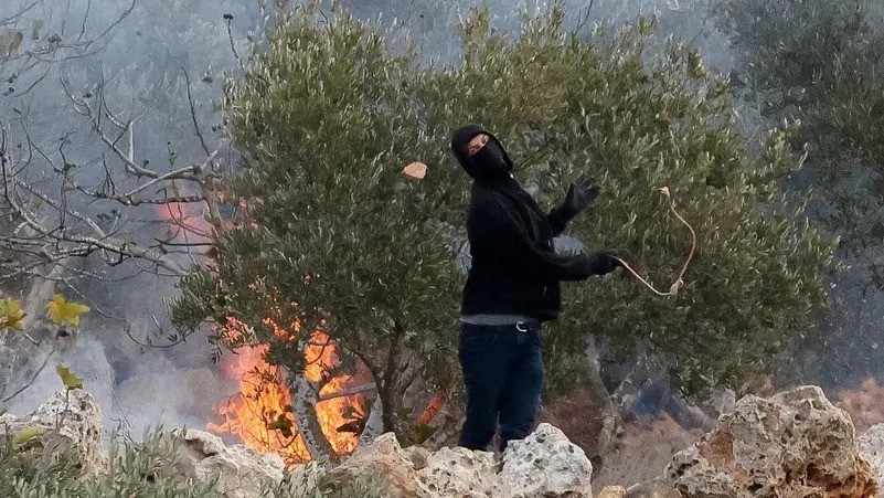 مستوطنون إسرائيليون يهجمون على قرية بالضفة ويحرقون أشجار الزيتون
