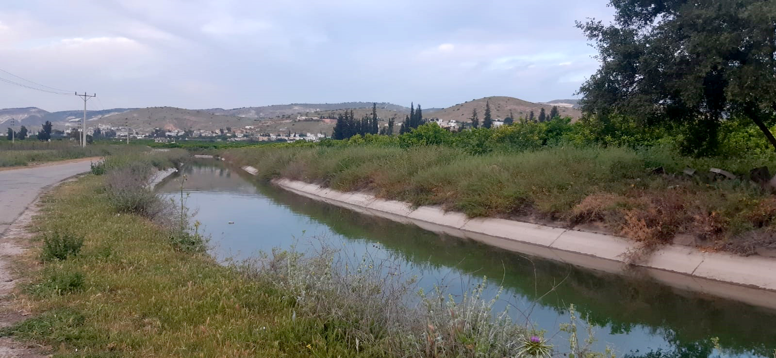 زراعة الأغوار الشمالية تدعو لتنظيم ري المزروعات لمواجهة موجة الحر