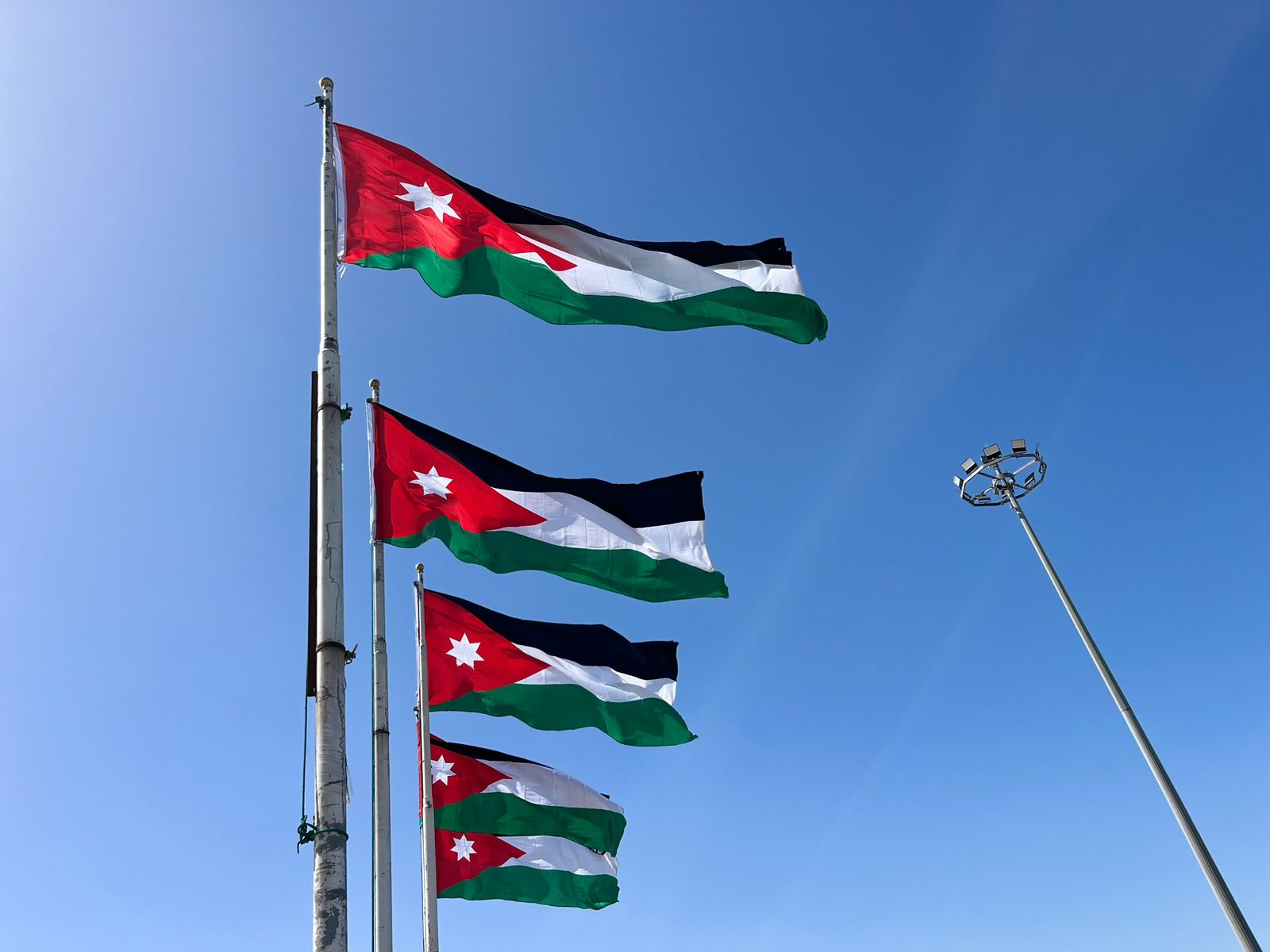 بلديات المملكة تكثف جهودها لرفع 700 ألف راية احتفاءً بيوم العلم