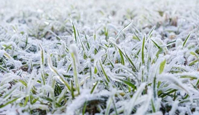 طقس بارد لأيام ..  وتحذيرات من تشكل الصقيع 